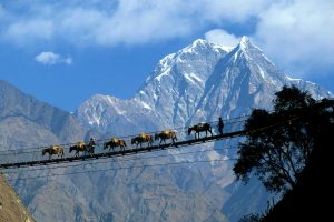Nepal approves six more peaks of 8,000 meters or more