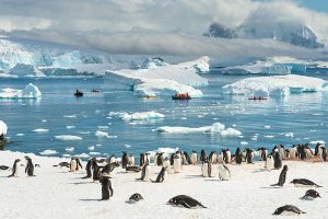 “Polar Thigh” – Antarctica’s mysterious disease